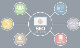 坪地网站SEO 优化  推广