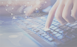 坪地企业宣传网站建设